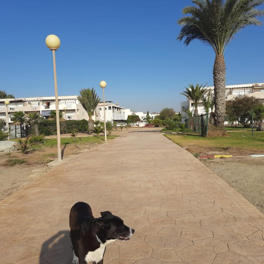 Michi Natura World L'Île-Rousse Dış mekan fotoğraf