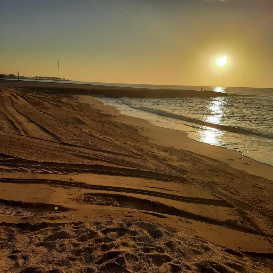 Michi Natura World L'Île-Rousse Dış mekan fotoğraf